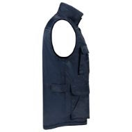 Afbeeldingen van Bodywarmer Industrie